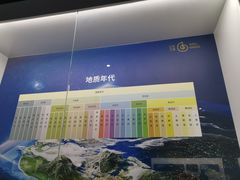 -贝壳王国博物馆
