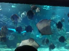 -南昌海洋公园