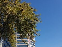 -馋嘴猫•北京食堂•宵夜(亚运村店)