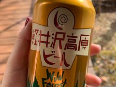 -轻井泽高原教堂