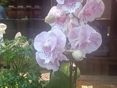-王府茶楼茶宴·创意菜(朝阳公园店)