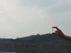 -鹤之洲湿地公园