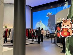 -Canada Goose加拿大鹅(北京三里屯太古里店)