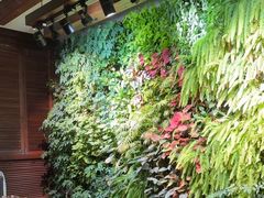 -泽云梵莲花足浴 按摩 SPA(滨湖店)