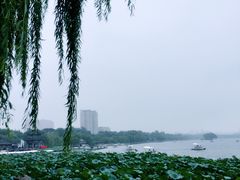 -老牌坊•鲁菜名店•地道济南菜(大观园商埠店)