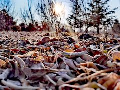 -长春公园(普阳街道)