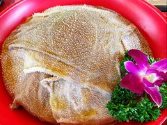 -二荆条·蜀鲜汇城市森林火锅
