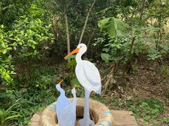 -华侨城湿地公园