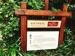 -天目湖涵田半山温泉