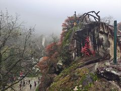 -秦岭终南山世界地质公园翠华山景区