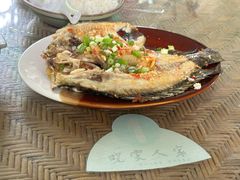 -晓雯人家