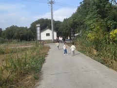 -莲花岛景区