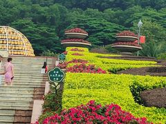 -广州市白云山风景名胜区