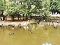 -黔灵山公园