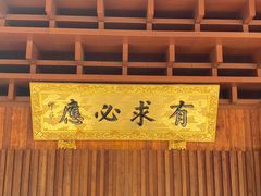 -深圳仙湖植物园