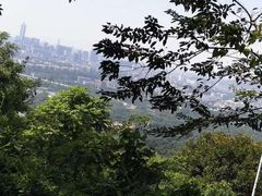 -火炉山森林公园