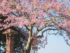 -风云岭森林公园