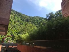 -香港大学