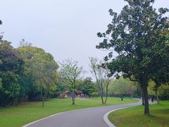 -扬州市茱萸湾风景区