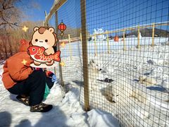 -玉渡山自然风景区