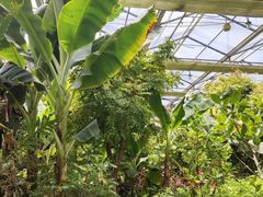 -呀路古热带植物园