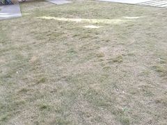 -巢爷老味(东方红店)