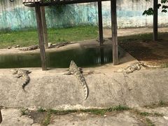-无锡动物园·太湖欢乐园