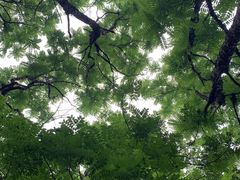 -零陵古城