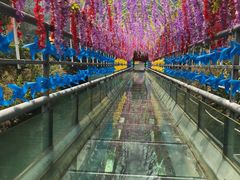 -清泉湾生态旅游度假区