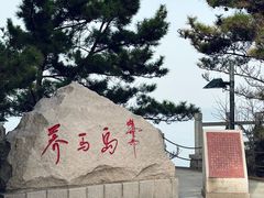 -养马岛旅游度假区