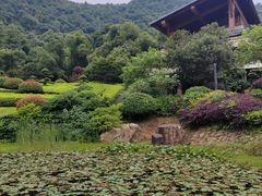 -桃花岭景区
