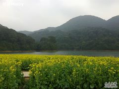 -广州市石门国家森林公园