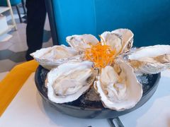 -蚝大仙横琴生蚝火锅(中央汇店)