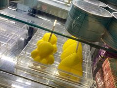 -野人先生现做冰淇淋(西安赛格店)
