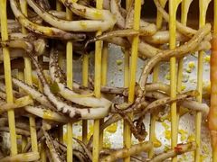 鱿鱼-开心猫无锡三阳广场店