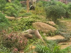 -石排湾郊野公园