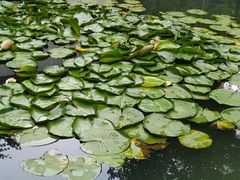 -杭州张苍水先生祠
