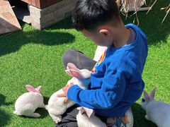 -南戴河国际娱乐中心