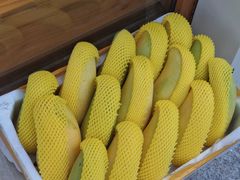 -小淘圆儿·四季口味蛋糕