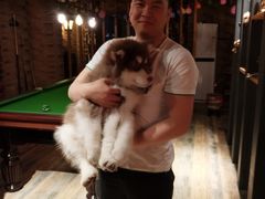 -玩坞轰趴馆·户外团建聚会主题生日派对馆(世豪广场店)