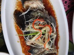高原雪山鱼-小厨子私房菜·云南美食店