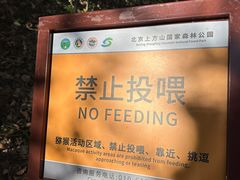 -北京上方山国家森林公园