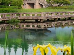 -尚湖风景区