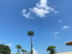 -侯臣咖啡文化村