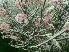 -江西阳明山国家森林公园