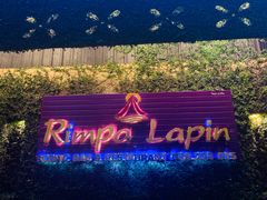 -Rimpa Lapin悬崖餐厅