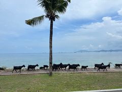-三亚西岛海洋文化旅游区
