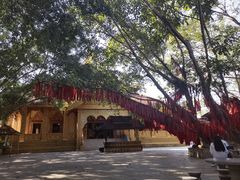 -西双版纳勐泐文化旅游区