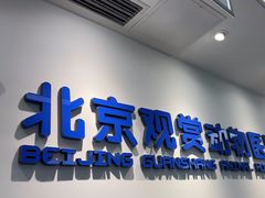 -北京观赏动物医院·24小时大型综合·猫专科·异宠专科
