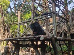 -长鹿旅游休博园